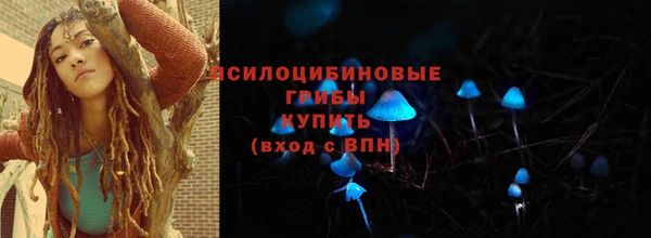 герыч Козельск