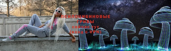 герыч Козельск
