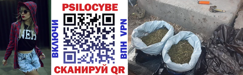 Галлюциногенные грибы GOLDEN TEACHER Купить где Торжок